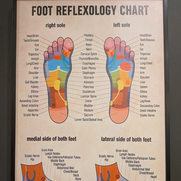 Reflexology pressure point chart